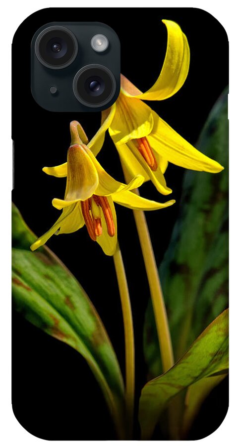 Trout Lilies iPhone Case featuring the photograph Trout Lilies by Carolyn Derstine