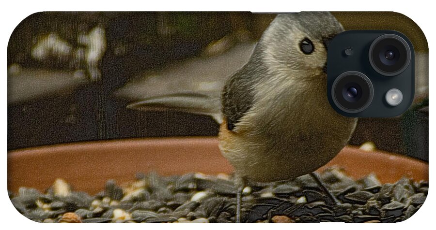 Bird iPhone Case featuring the photograph Tufted Titmouse 2 by Sandra Clark