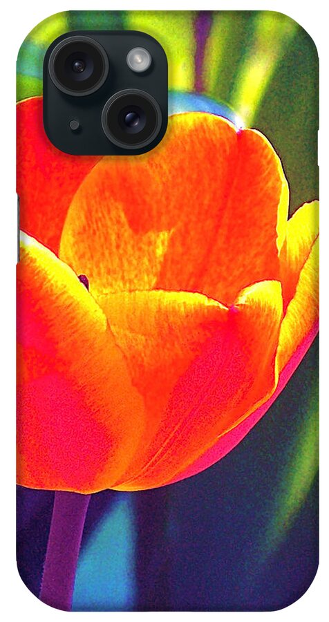 Tulip iPhone Case featuring the photograph Tulip 2 by Pamela Cooper