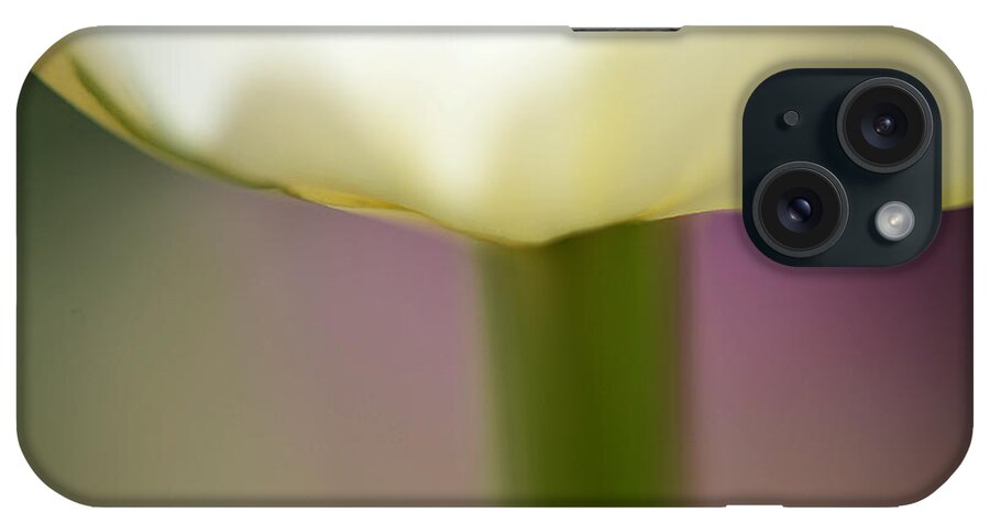 Tulip iPhone Case featuring the photograph Tulip in Abstraction by JoAnn Lense