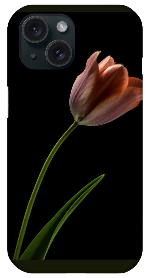 Still Life iPhone Case featuring the photograph Tulip in quiet Light by Ron Roberts