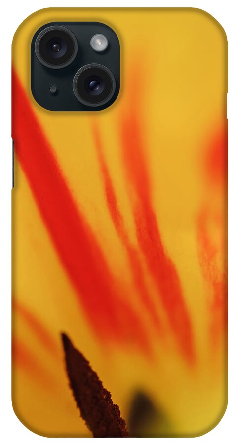Flower iPhone Case featuring the photograph Tulip by Robert Mitchell