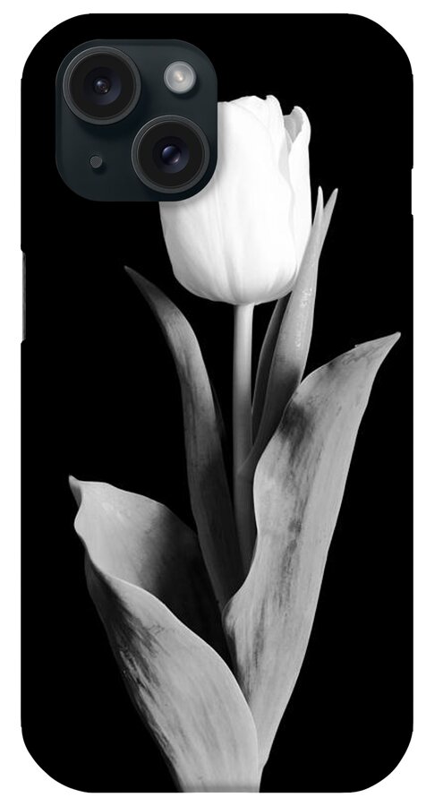 Tulip iPhone Case featuring the photograph Tulip by Sebastian Musial