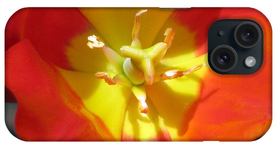 Tulip iPhone Case featuring the photograph Tulips - Enthusiasm 04 by Pamela Critchlow
