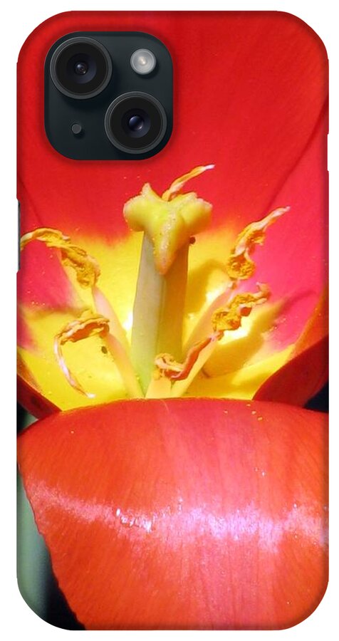 Tulip iPhone Case featuring the photograph Tulips - Filled With Desire 08 by Pamela Critchlow