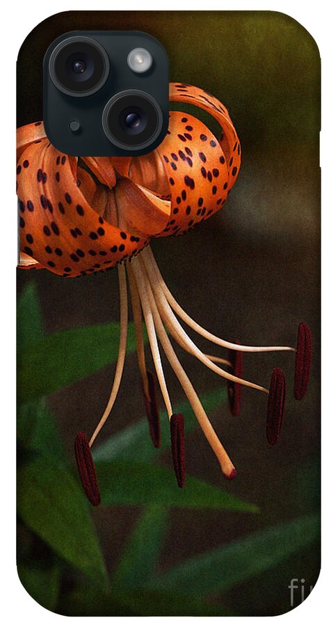 Lily iPhone Case featuring the photograph Turk's Cap Lily II by Lee Craig