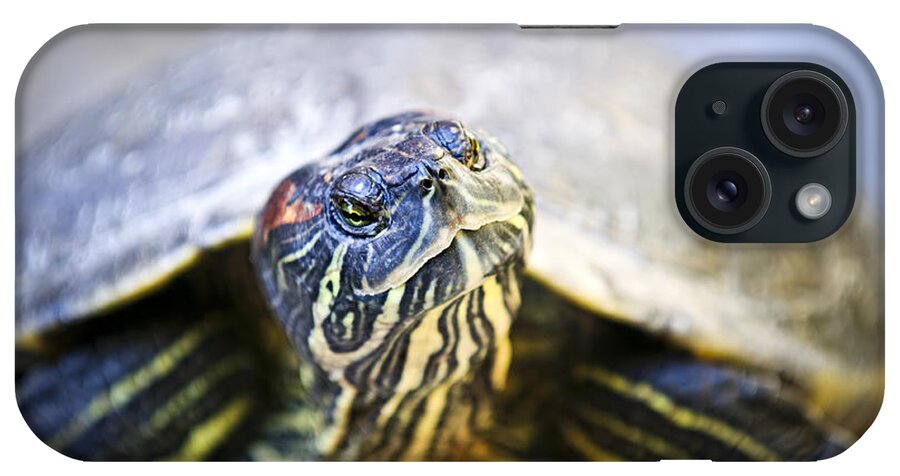 Turtle iPhone Case featuring the photograph Turtle by Elena Elisseeva
