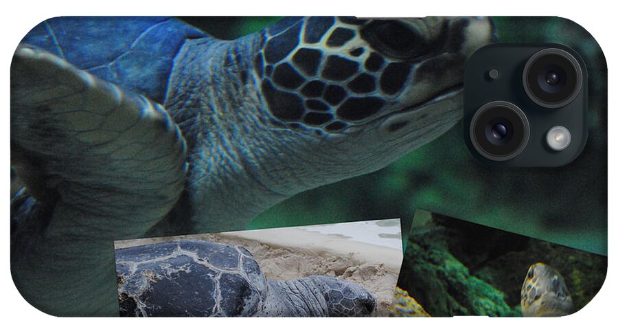 Shell iPhone Case featuring the photograph Turtle Friends by Amanda Eberly