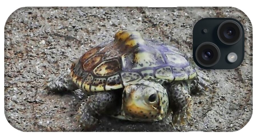 Baby iPhone Case featuring the photograph Turtle Trot by Judy Hall-Folde