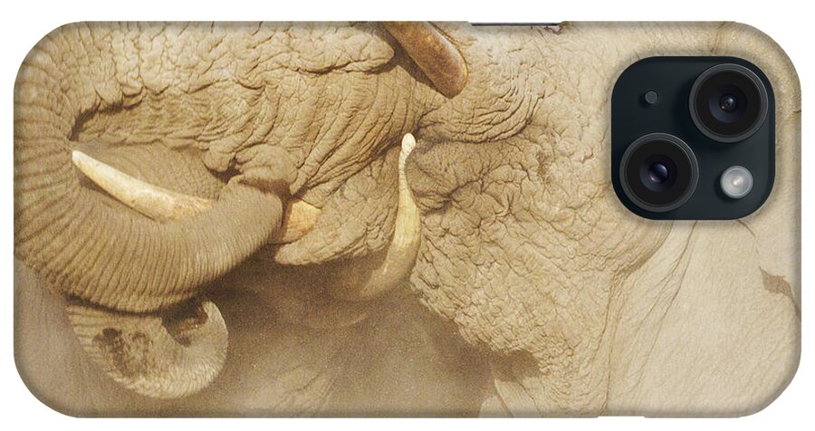 Elephant iPhone Case featuring the photograph Tusker Tension by PiperAnne Worcester