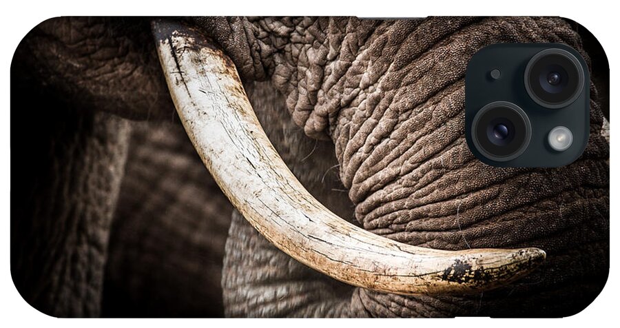 Abedare Mountains iPhone Case featuring the photograph Tusks And Trunk by Mike Gaudaur
