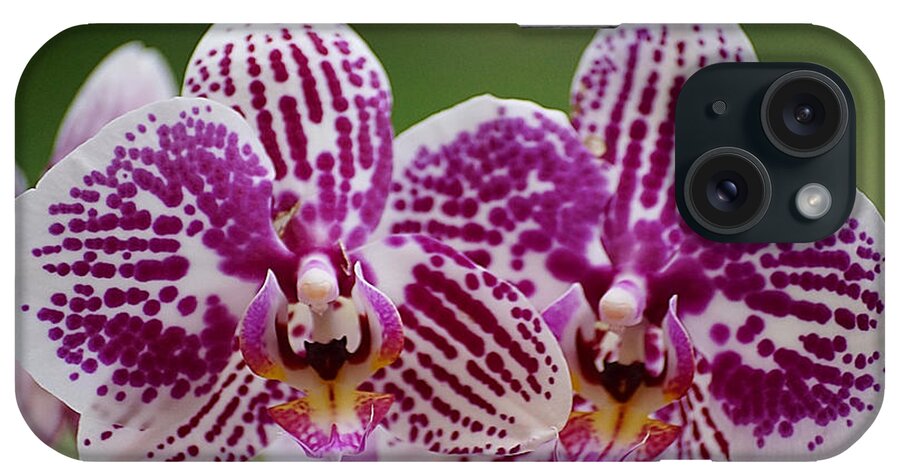 Orchid iPhone Case featuring the photograph Twin Beauty by Blair Wainman