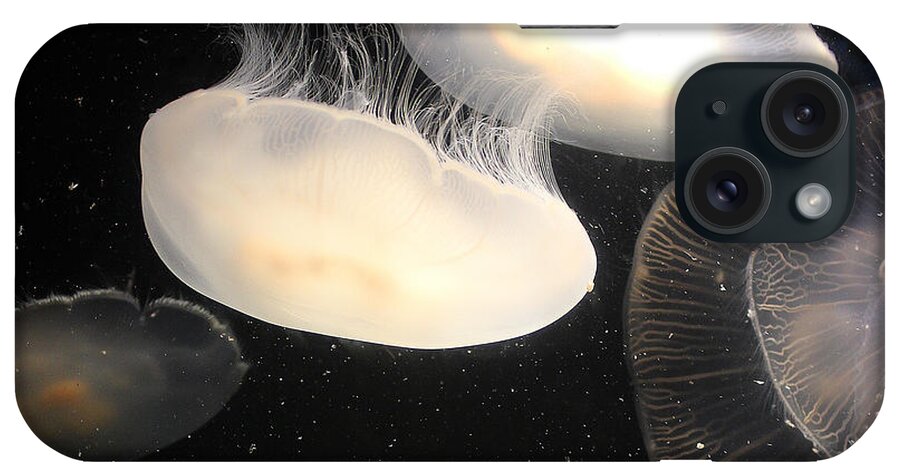 Jellyfish iPhone Case featuring the photograph Twin Jellyfish by Cheryl Del Toro