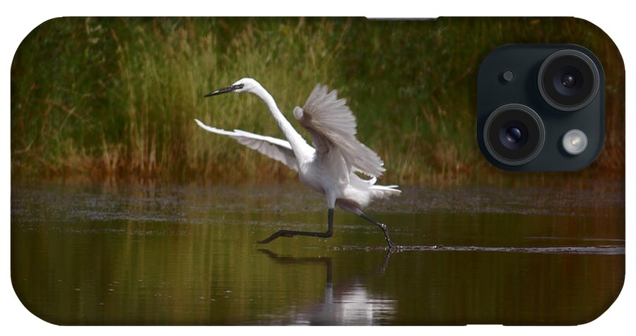 Great Egret iPhone Case featuring the photograph Twinkle Toes by Leticia Latocki