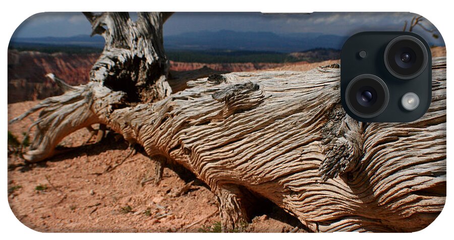 Utah iPhone Case featuring the photograph Twisted by Jon Emery