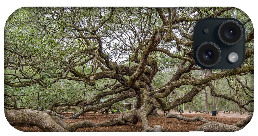 Angel Oak Tree iPhone Case featuring the photograph Twisted Limbs by Dale Powell