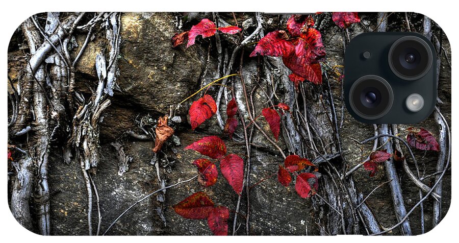 Leaves iPhone Case featuring the photograph Twisted Red by Craig Burgwardt