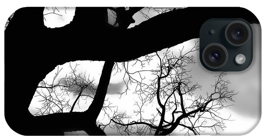 Silhouette iPhone Case featuring the photograph Twisty Tree Silhouette by Ellen Tully