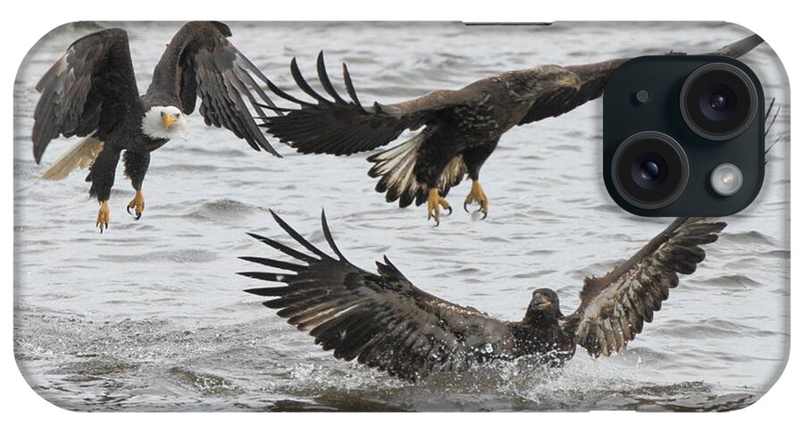 American Bald Eagle iPhone Case featuring the photograph Two against One by Coby Cooper