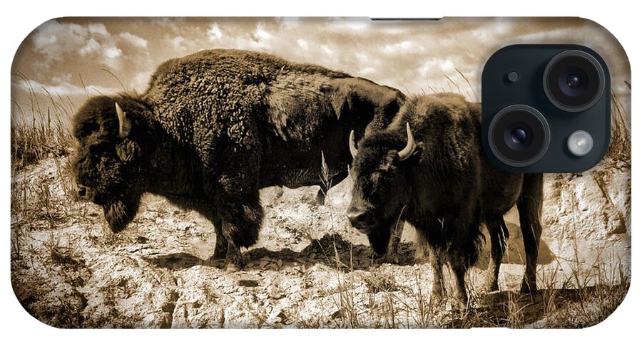 Photograph iPhone Case featuring the photograph Two Buffalo by Richard Gehlbach
