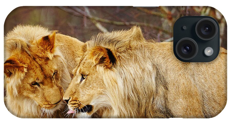 Closeup iPhone Case featuring the photograph Two lions close together by Nick Biemans
