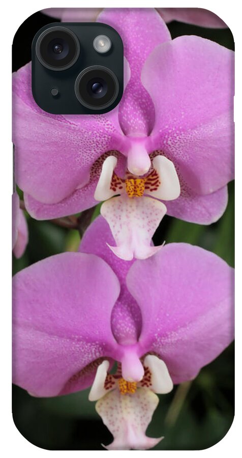Orchids iPhone Case featuring the photograph Two Pink Moth Orchids by Harold Rau