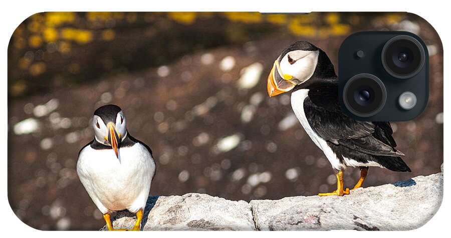 Atlantic Puffin iPhone Case featuring the photograph Two Puffins by Perla Copernik
