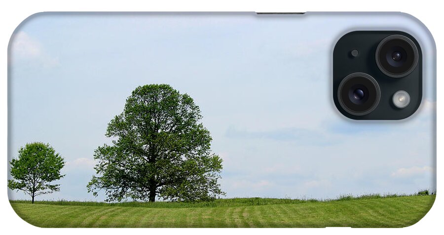 Trees iPhone Case featuring the photograph Two Trees by Karen Adams