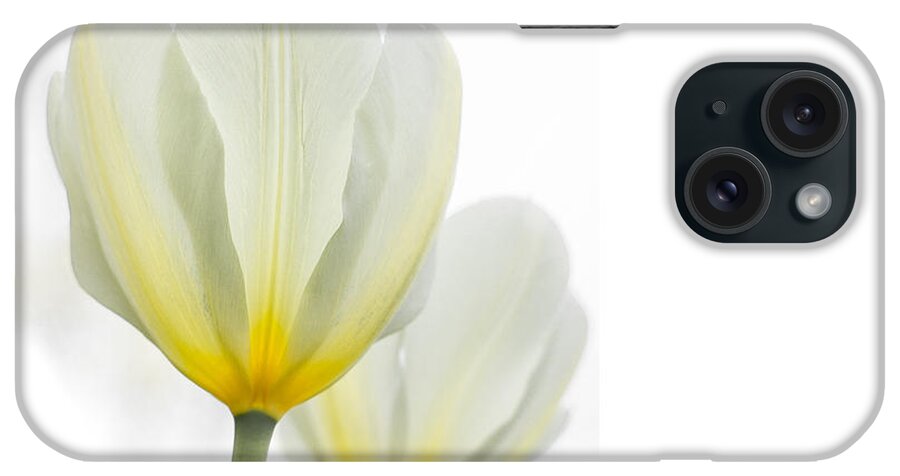 Spring iPhone Case featuring the photograph Two Tulips 1 by Peter Scott