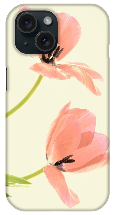 Flowers iPhone Case featuring the photograph Two Tulips in Pink Transparency by Phyllis Meinke