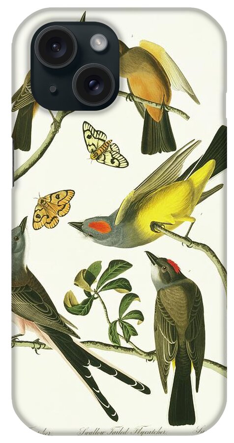 Illustration iPhone Case featuring the photograph Tyrant Flycatchers by Natural History Museum, London/science Photo Library