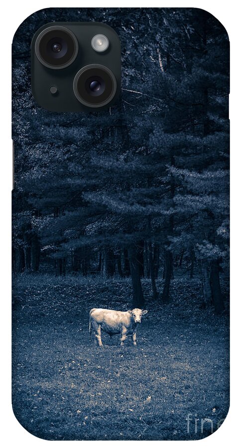 Cow iPhone Case featuring the photograph Udder the Moo Night by Edward Fielding
