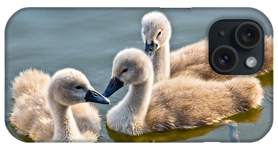 Ugly Duckling iPhone Case featuring the photograph Ugly Ducklings by Scott Carruthers