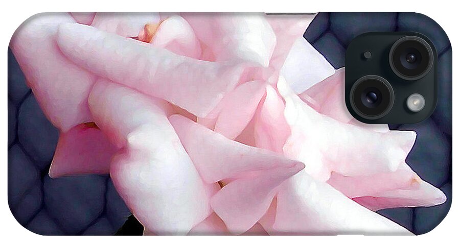 Rose iPhone Case featuring the photograph Una rosa d'autunno by Mariana Costa Weldon