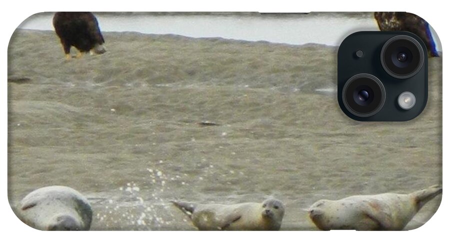 Seals iPhone Case featuring the photograph Unbelievable by Gallery Of Hope 