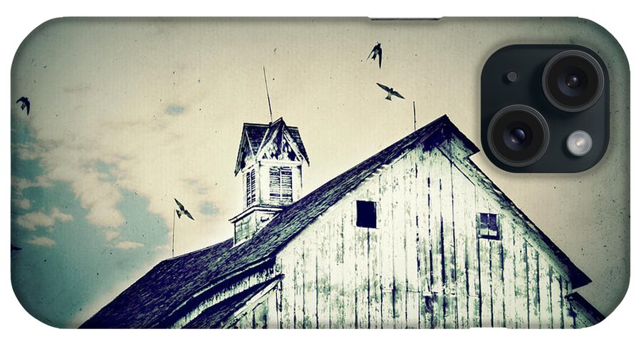 Barn iPhone Case featuring the photograph Unique Cupola by Julie Hamilton