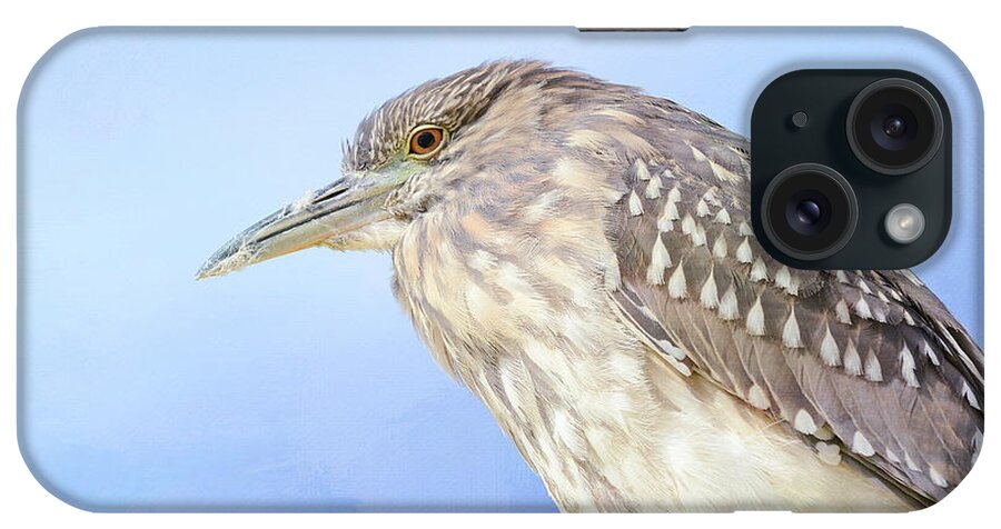 Juvenile Black Crowned Night Heron iPhone Case featuring the photograph Unwinding by Fraida Gutovich