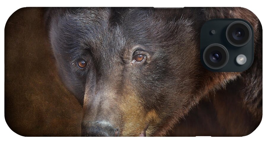 Bear iPhone Case featuring the photograph Up Close and Personal by Barbara Manis