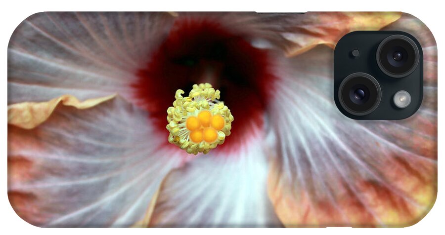 Hibiscus iPhone Case featuring the photograph Up Close Hibiscus by Mary Haber