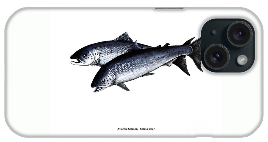 Atlantic Salmon iPhone Case featuring the mixed media Up River by Art MacKay