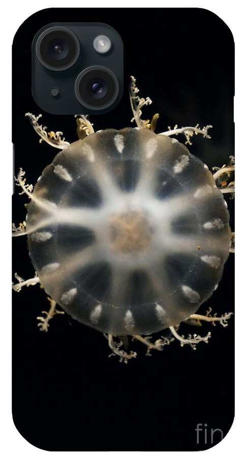 Hiroya Minakuchi iPhone Case featuring the photograph Upside-down Jellyfish Japan by Hiroya Minakuchi