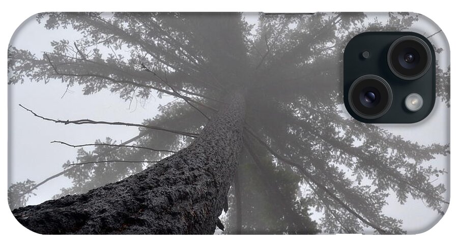 Fog iPhone Case featuring the photograph Upward by Jody Partin