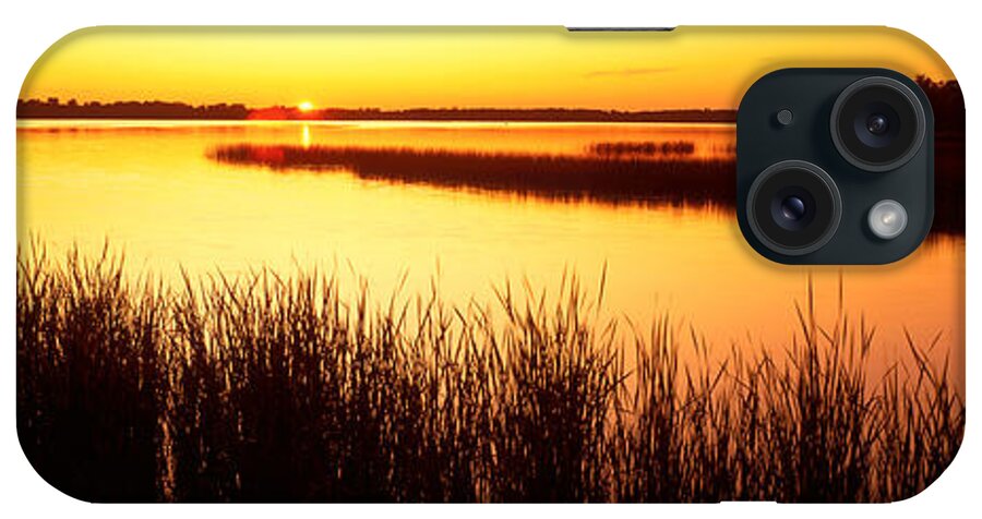 Photography iPhone Case featuring the photograph Usa, Minnesota, Otter Tail County, Deer by Panoramic Images