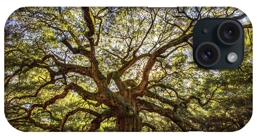 Angel Oak iPhone Case featuring the photograph USA, South Carolina, Charleston, Angel by Hollice Looney