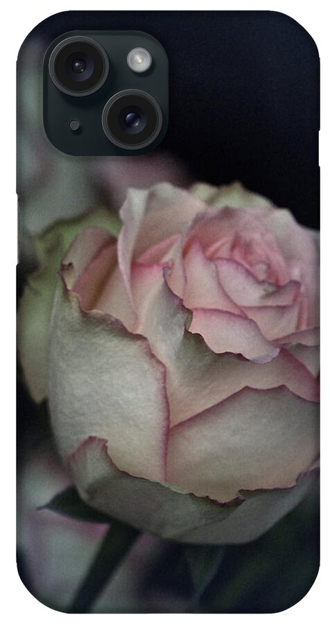 Rose iPhone Case featuring the photograph Rose No. 5 by Richard Cummings