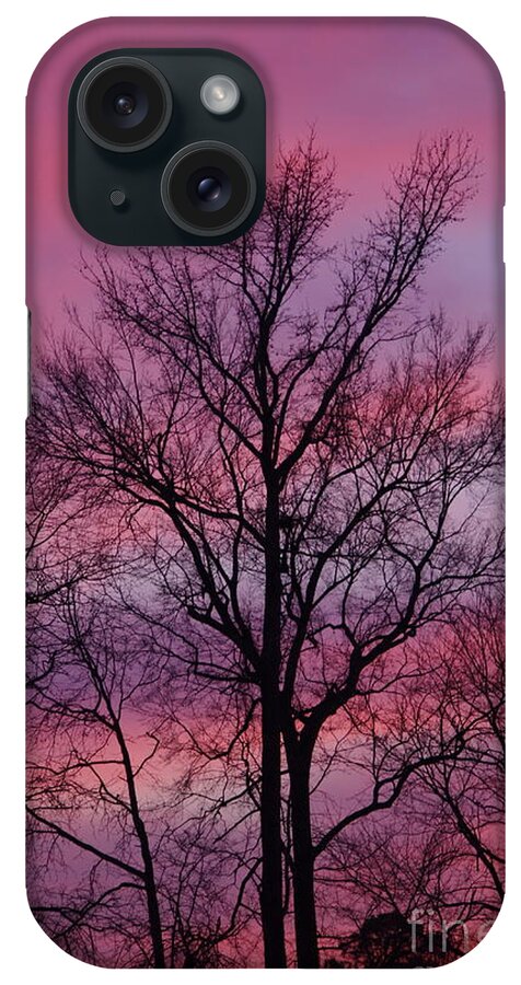 Silhouette iPhone Case featuring the photograph Valentine Sunset A by Tannis Baldwin