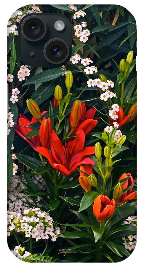 Valentine Flowers iPhone Case featuring the photograph Valentines Are Open Hearts by Byron Varvarigos