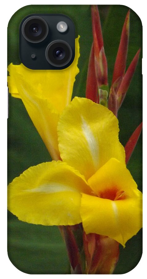 Flower iPhone Case featuring the photograph Velvety Yellow Iris by Brenda Brown