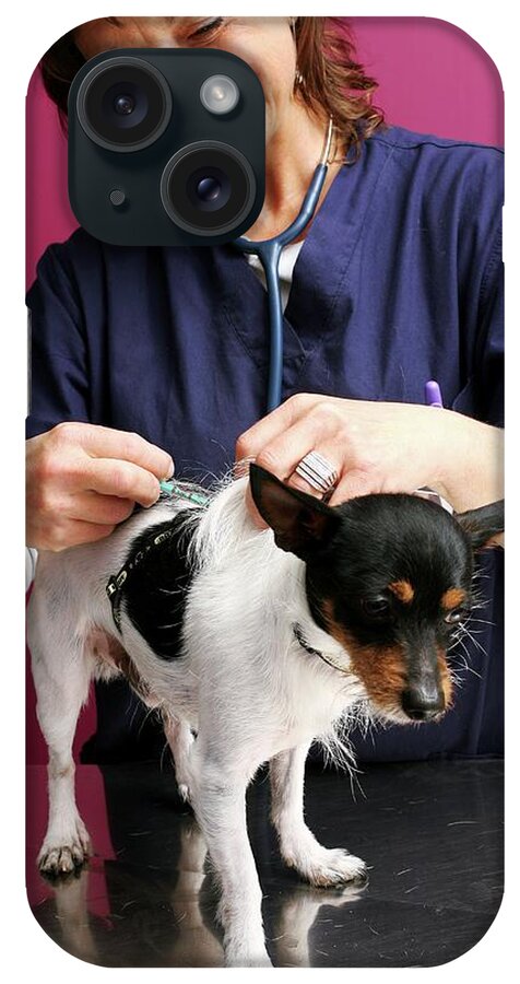 Animal iPhone Case featuring the photograph Vet Treating A Dog by Mauro Fermariello/science Photo Library
