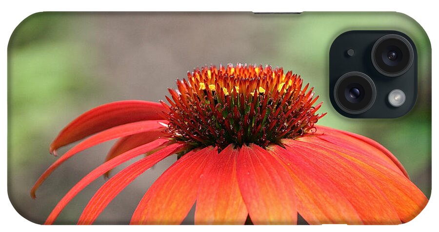 Cone Flower iPhone Case featuring the photograph Vibrant Cone by Susan Herber